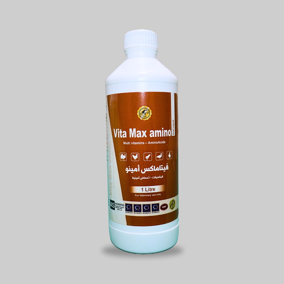 vita max amino L (1)